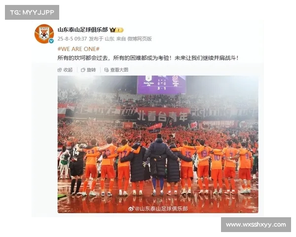 亚足联重罚山东泰山背后的风波与警示深度解析 亚足联重罚山东泰山背后的风波与警示深度解析