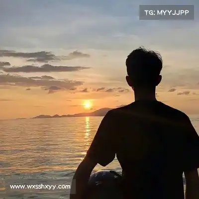 梅鹃仪